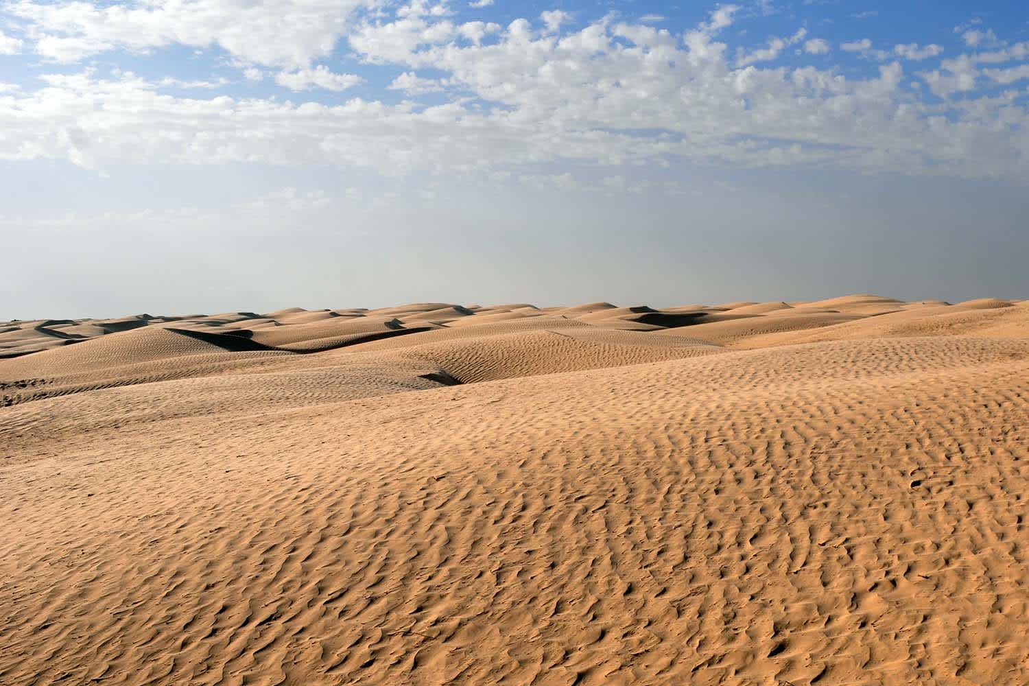 Dunes du Sahara tunisien sous ciel bleu
