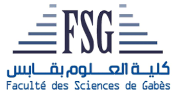 FSG